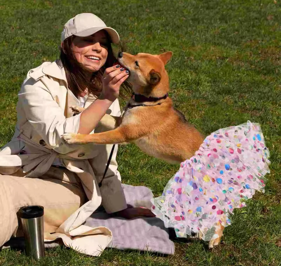 Top 5 Dog Fashion Trends for 2025