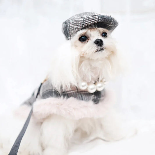 Personalized Pet Fashion: How to Customize Your Pet’s Look