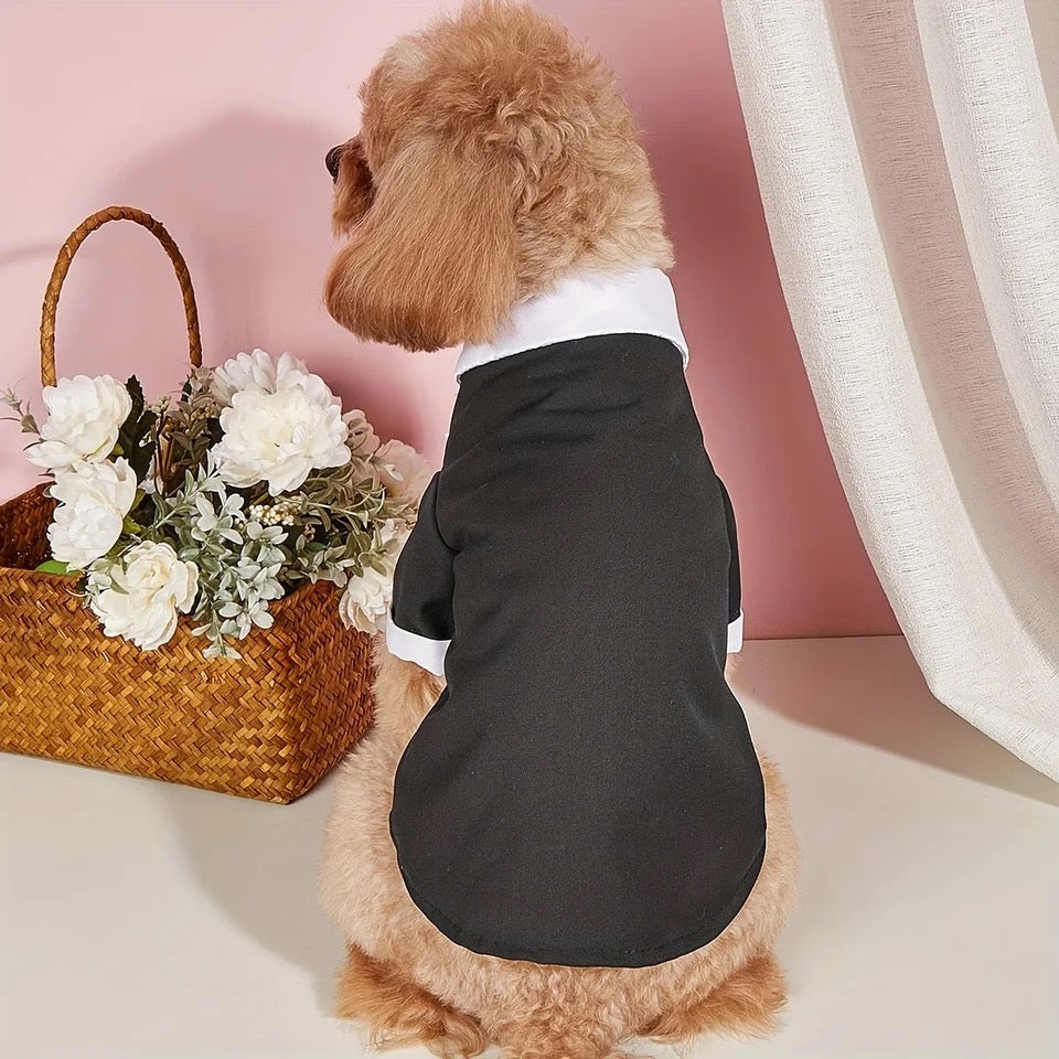 Handsome Devil Suit