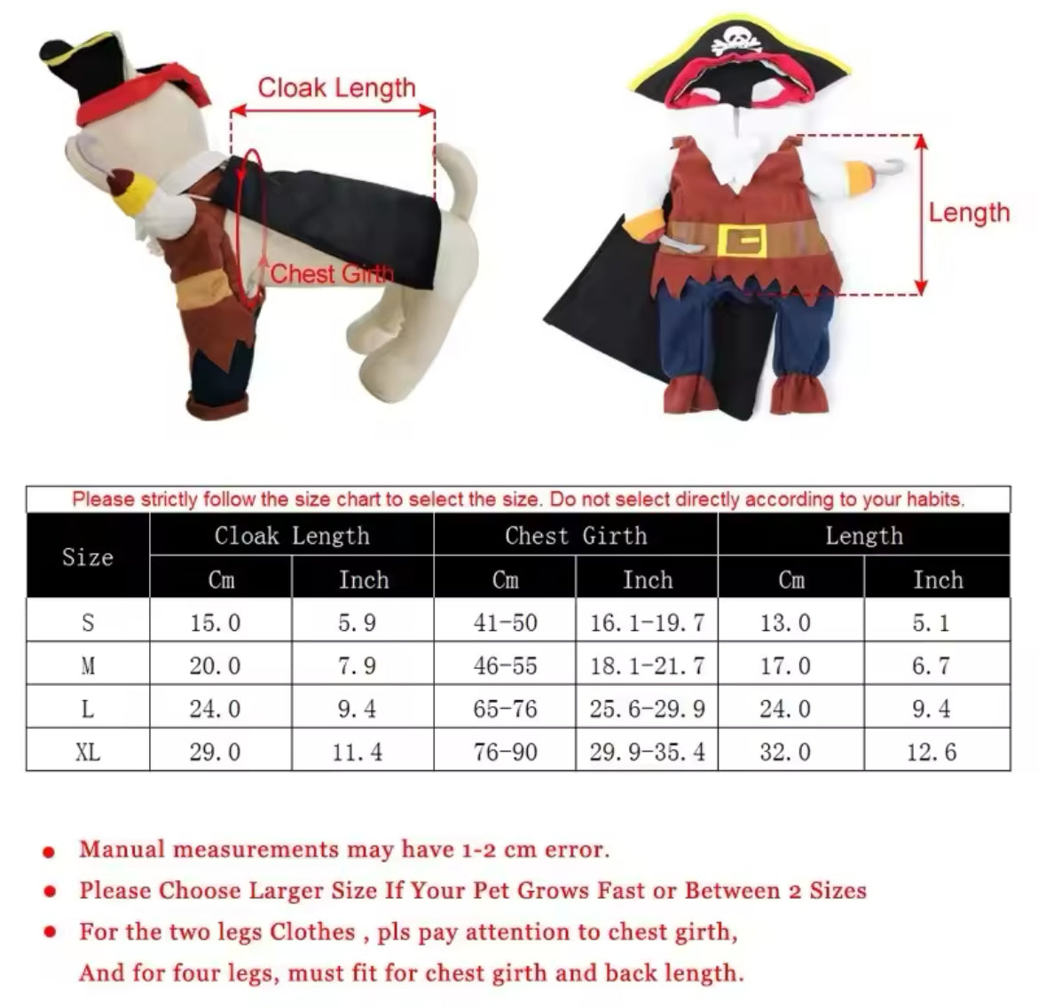 Pirate Costume