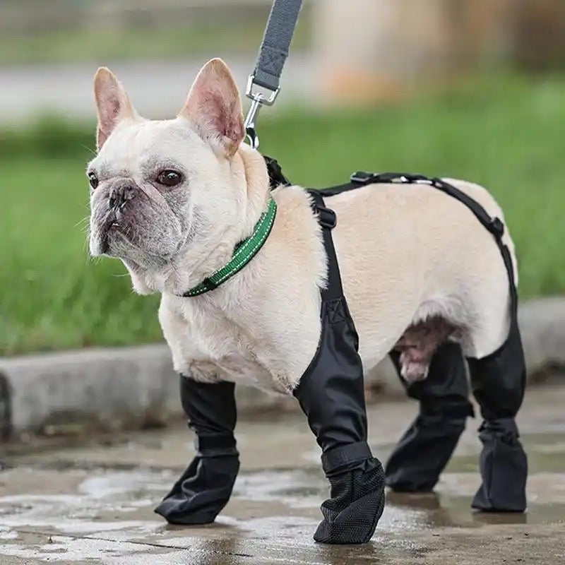 Suspender Dog Boots