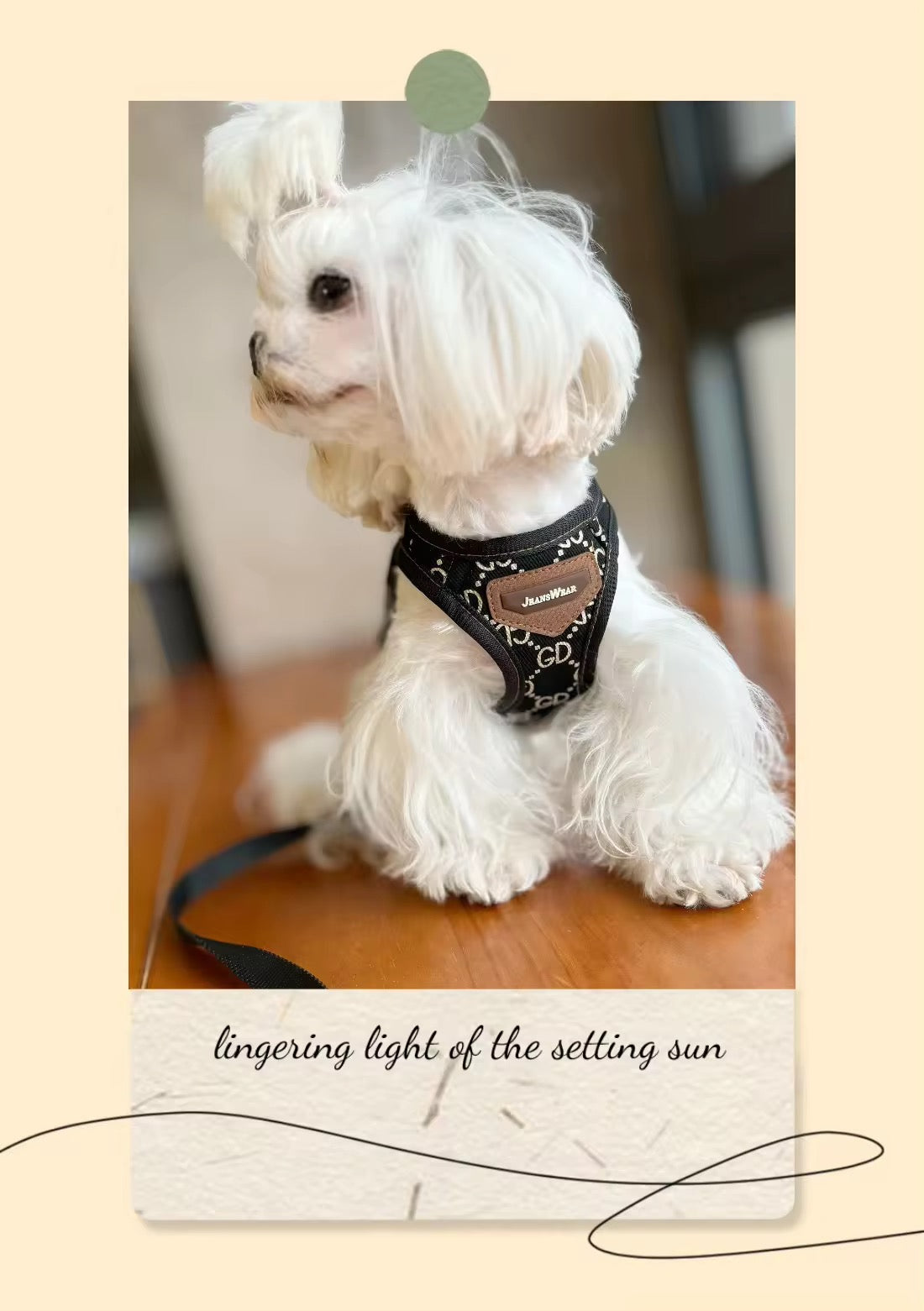 Gigi Harness & Leash Set