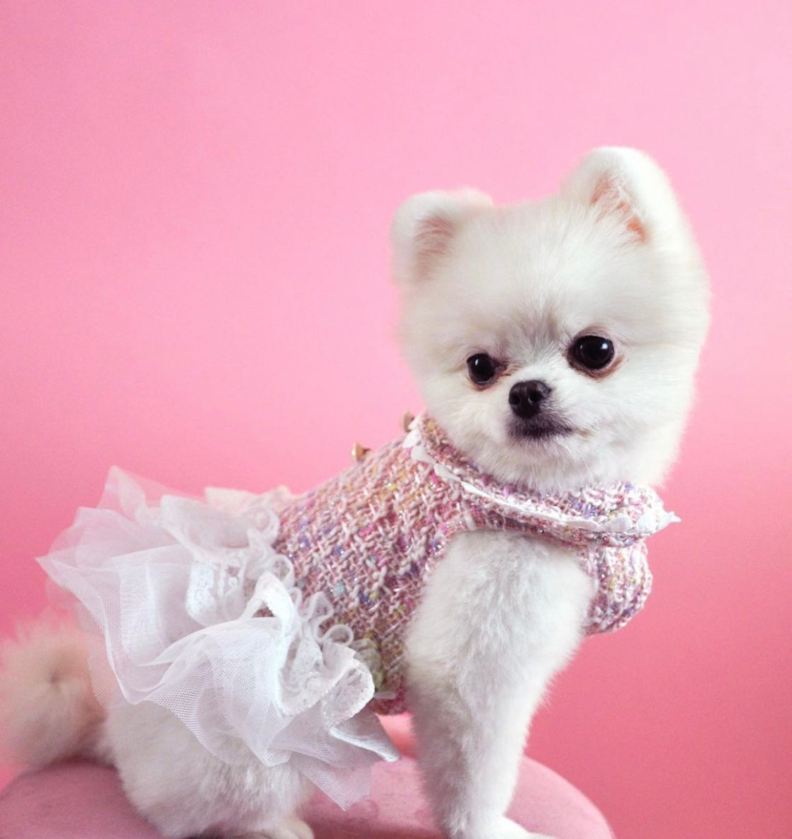 Doggy Pink Tutu Dress Plaid Dress with White Tutu for Dogs L Doggy Pink Tutu Dress Plaid Dress with White Tutu for Dogs L