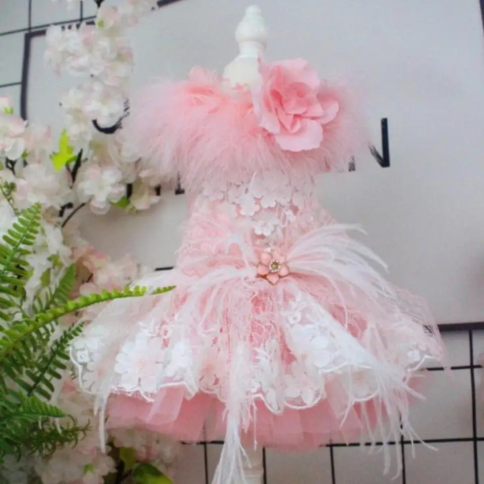 Baby Boo Dress