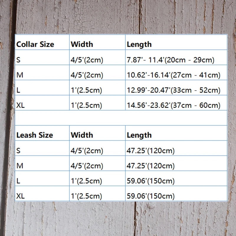Baby Boo Collar and Leash Set