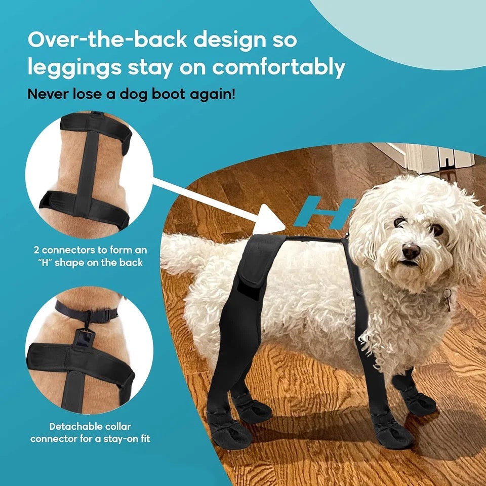 Dog Boots