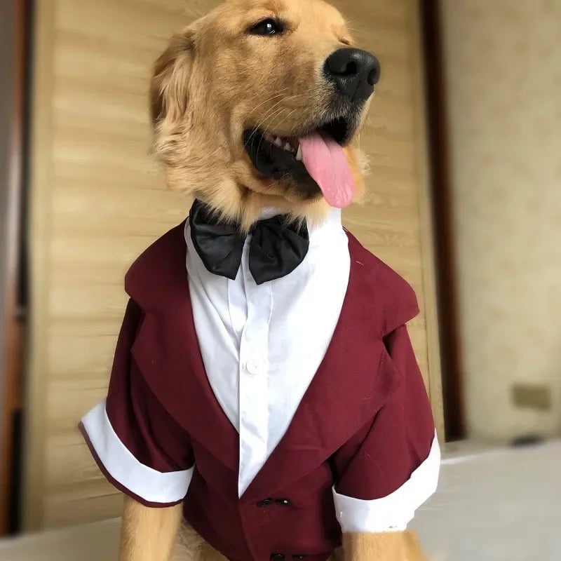 Oscar Suit