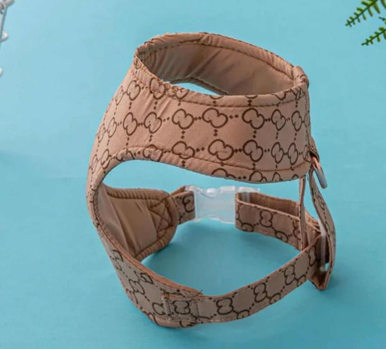 Gigi Leash and Harness Set