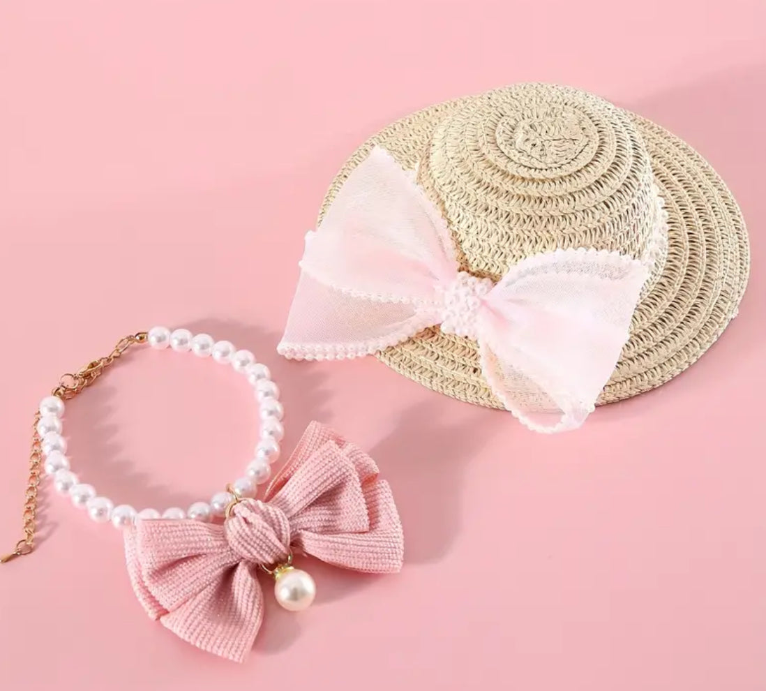 dog accessory set