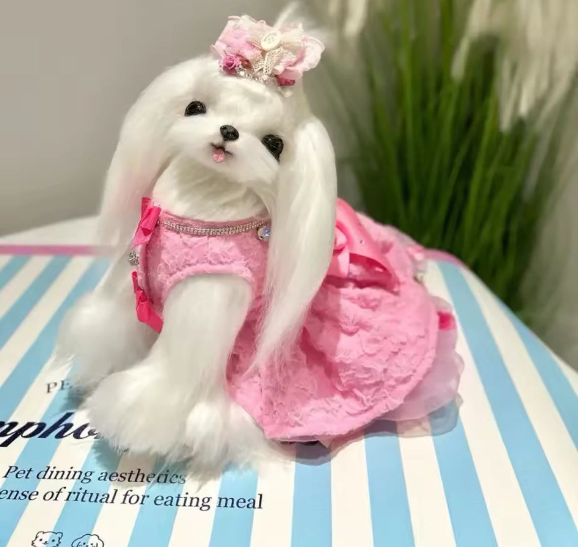Princessah Pink Dress