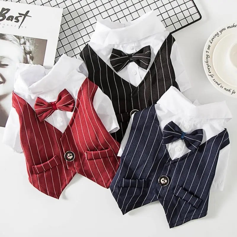 Tuxedog Suit