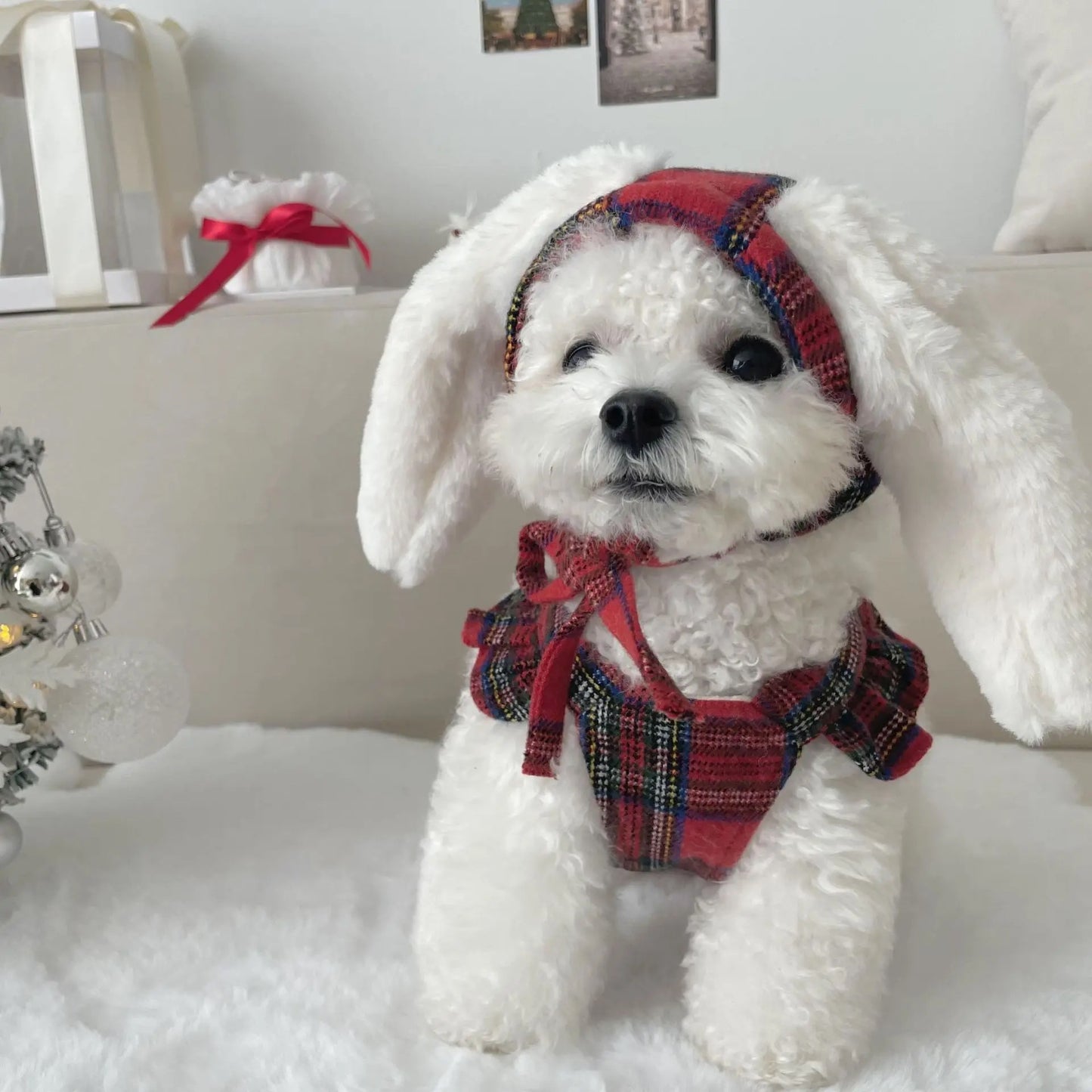 Christmas Bunny Set