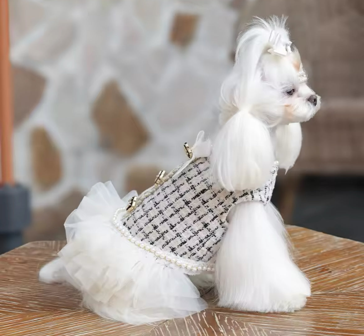 Coco Chewnel Dress