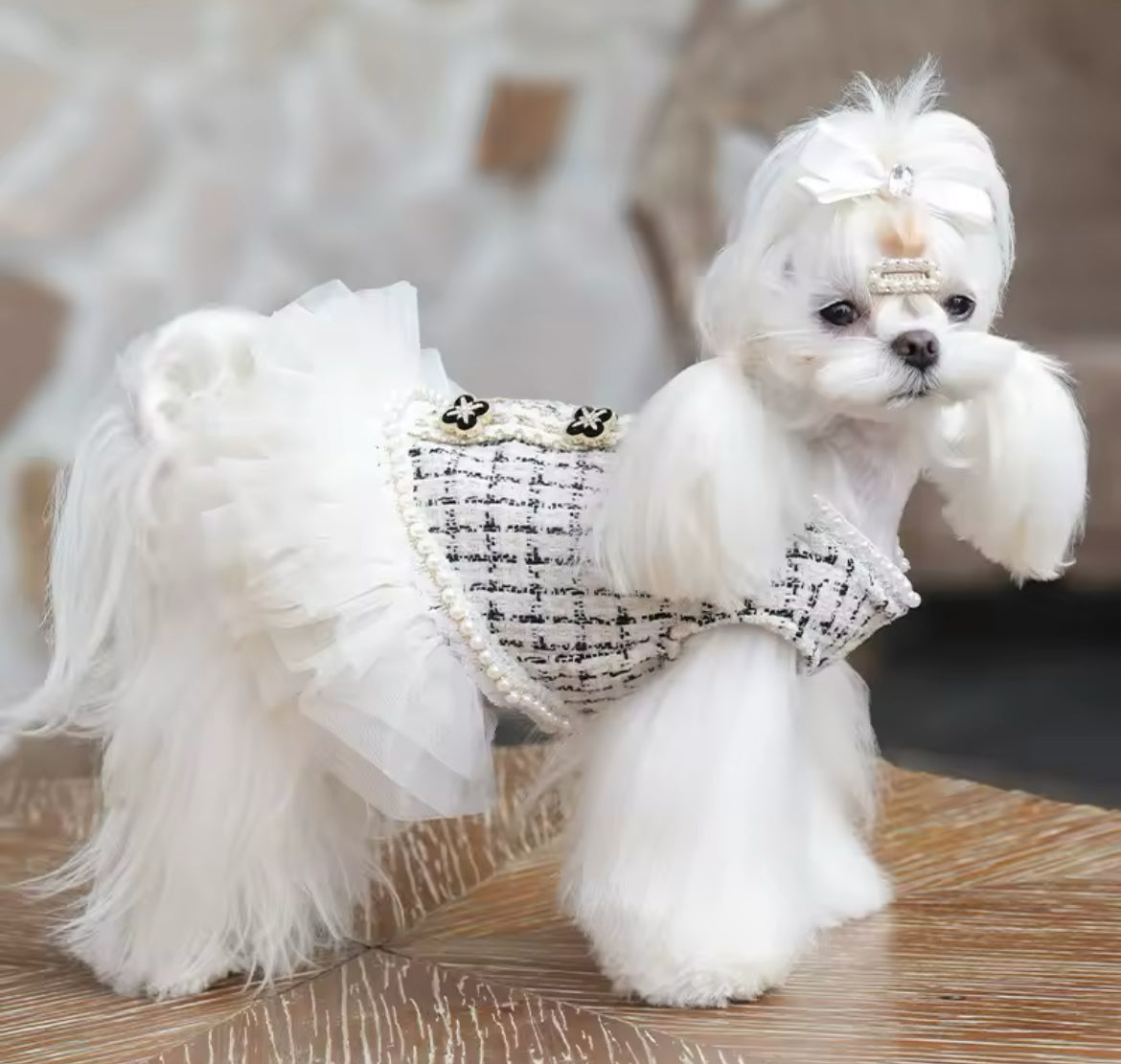 luxury dog dresses Coco Chewnel Dress
