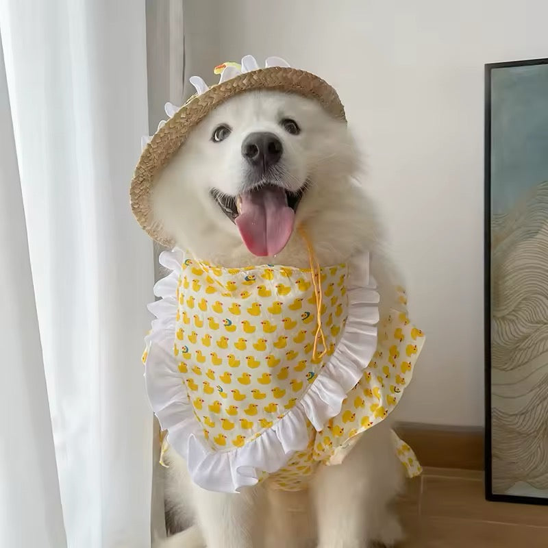 luxury dog dresses Summertime Happiness Dress Set Luxury Large Breed Dog Dress with Hat luxury dog dresses Summertime Happiness Dress Set Luxury Large Breed Dog Dress with Hat