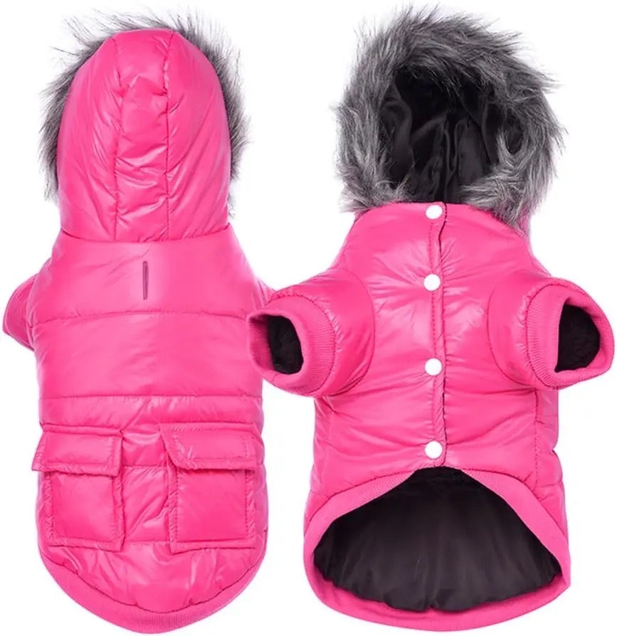 Babelicious Jacket