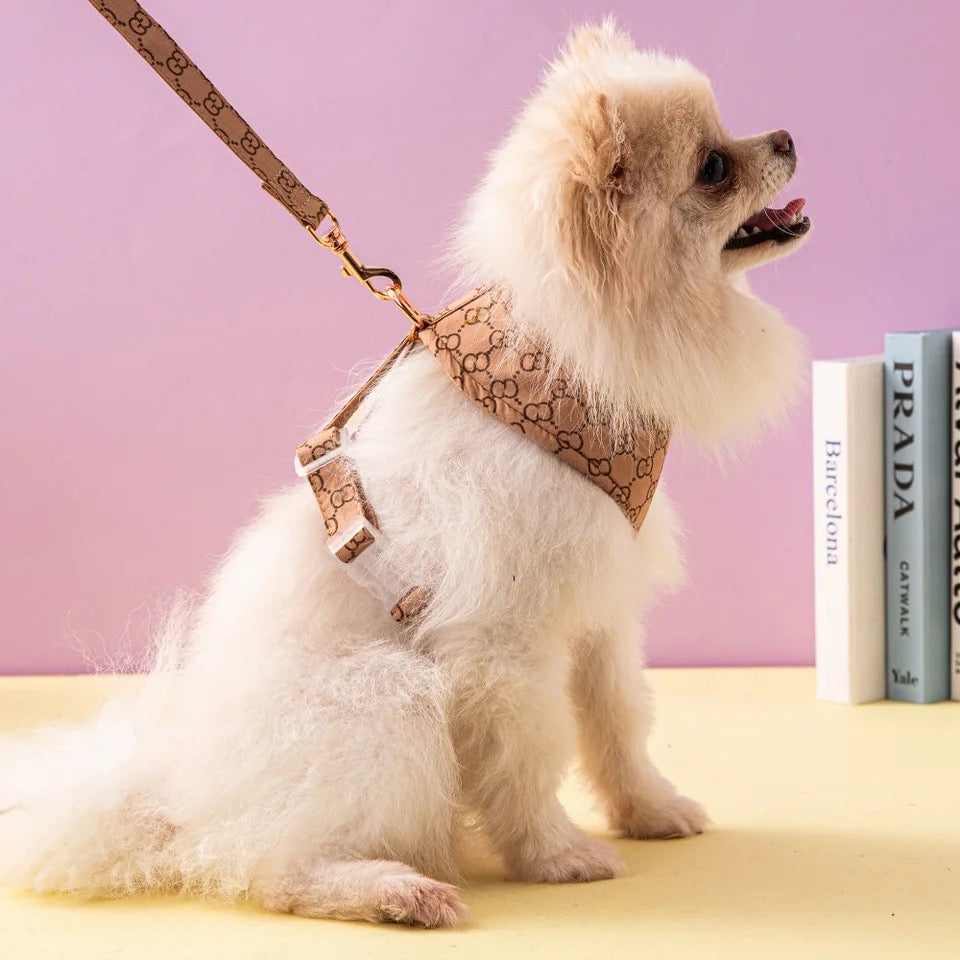 Gigi Harness and Leash Set