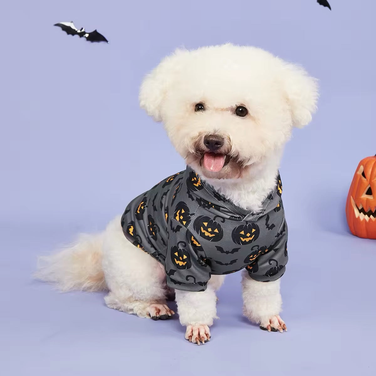 Halloween Pumpkin Hoodie DOGGY HAUTE COUTURE