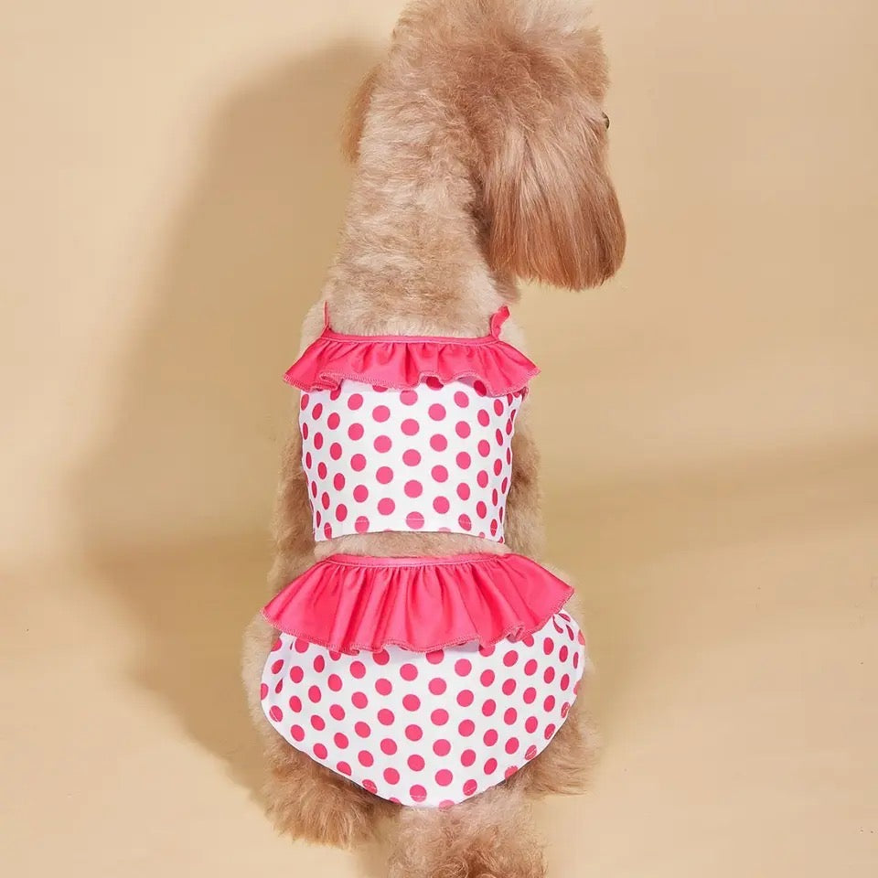 Summer Swimsuit