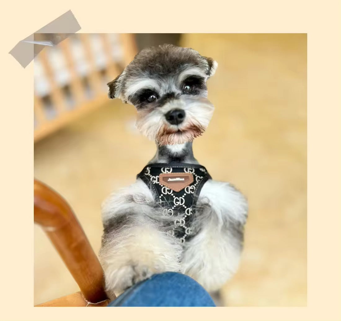 Gigi Harness & Leash Set