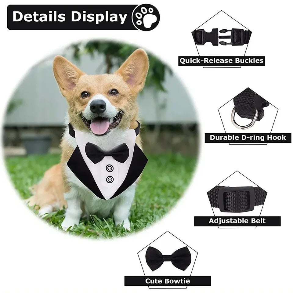 Best Man Collar