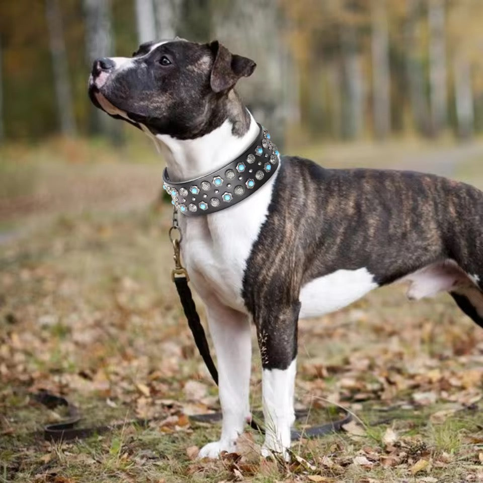 Big Dog Collar