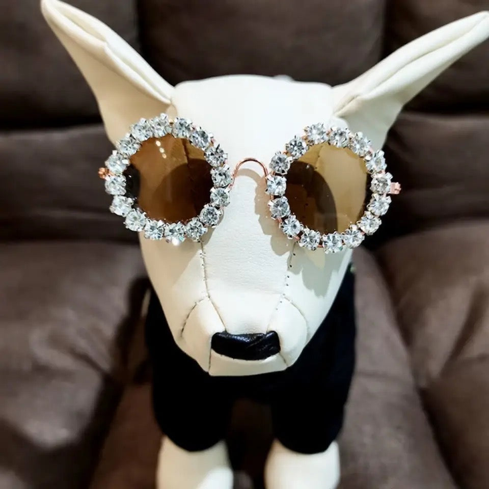 Doga Kat Sunglasses