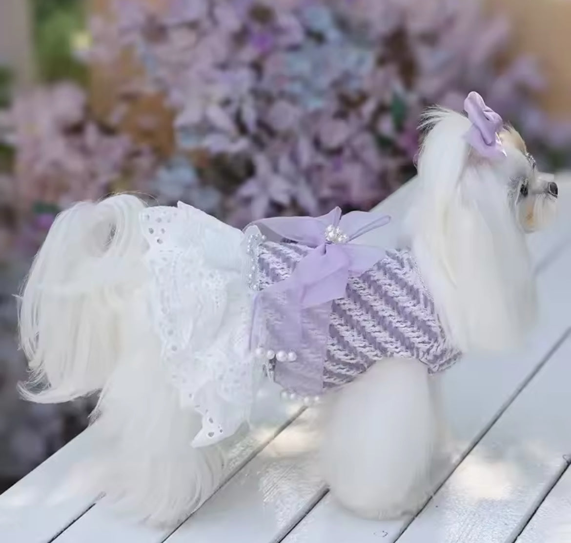 Lavender Dream Dress