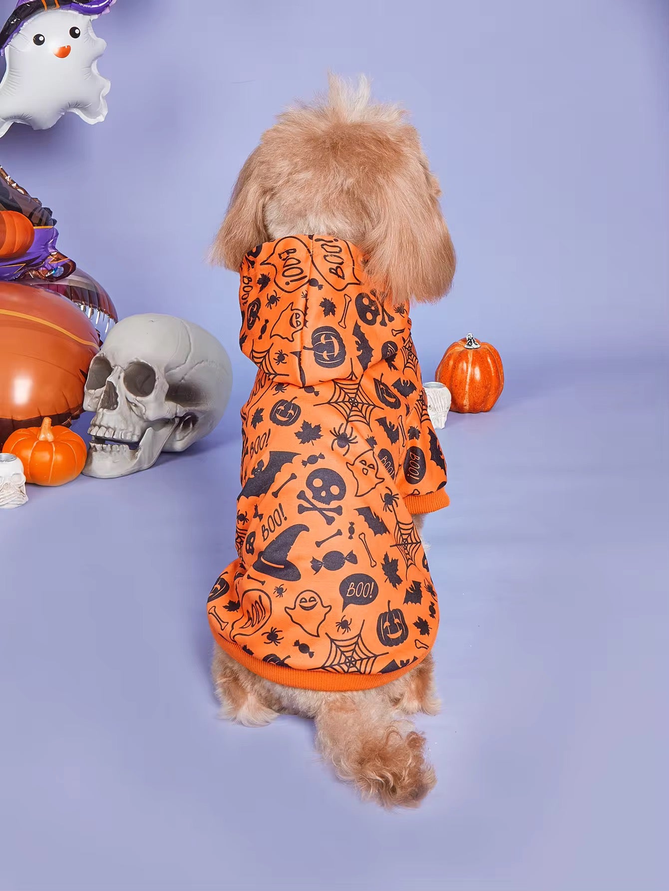 Halloween Hoodie
