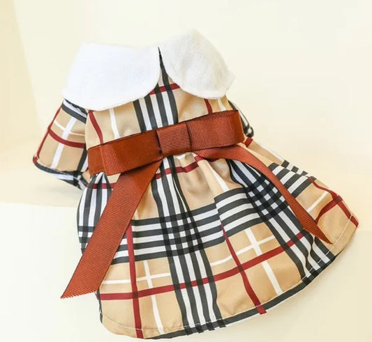 casual dog dress