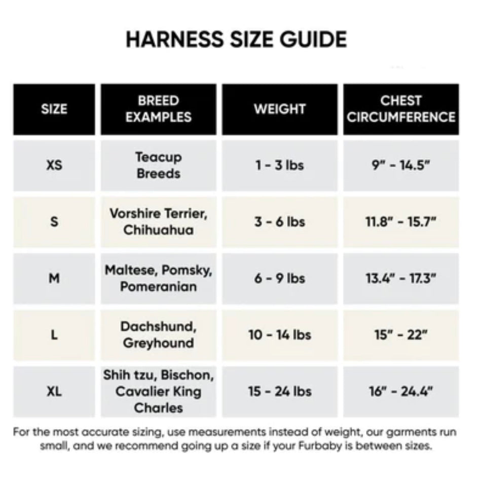 Gigi Harness and Leash Set