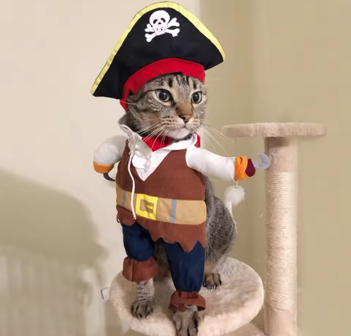 Pirate Costume