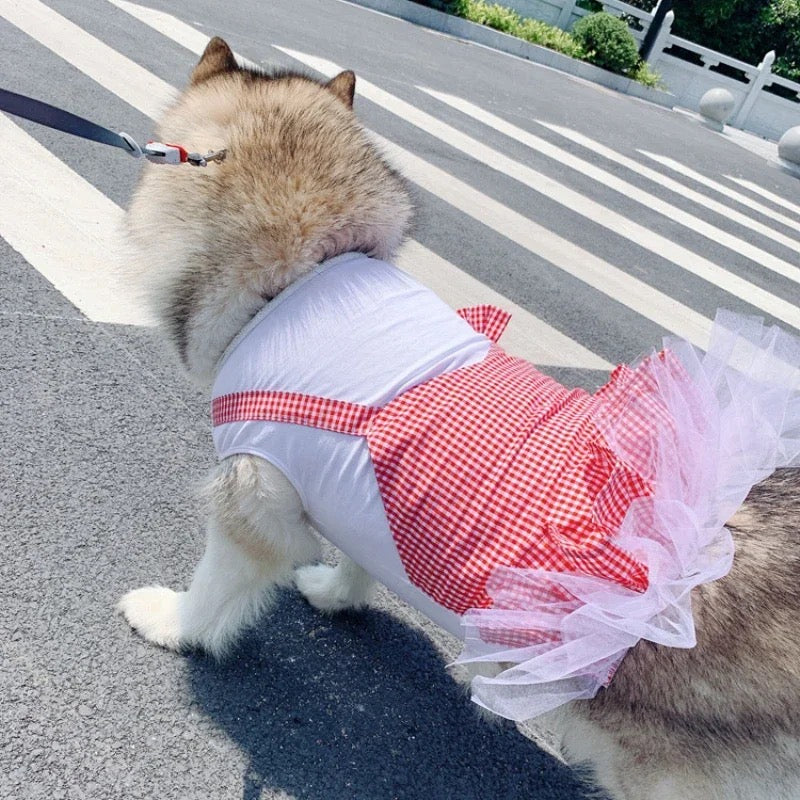 Annabelle Dress