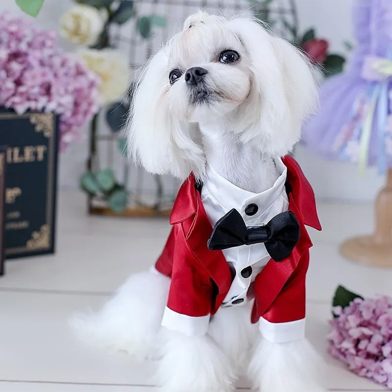 Spiffy Tuxedo Suit