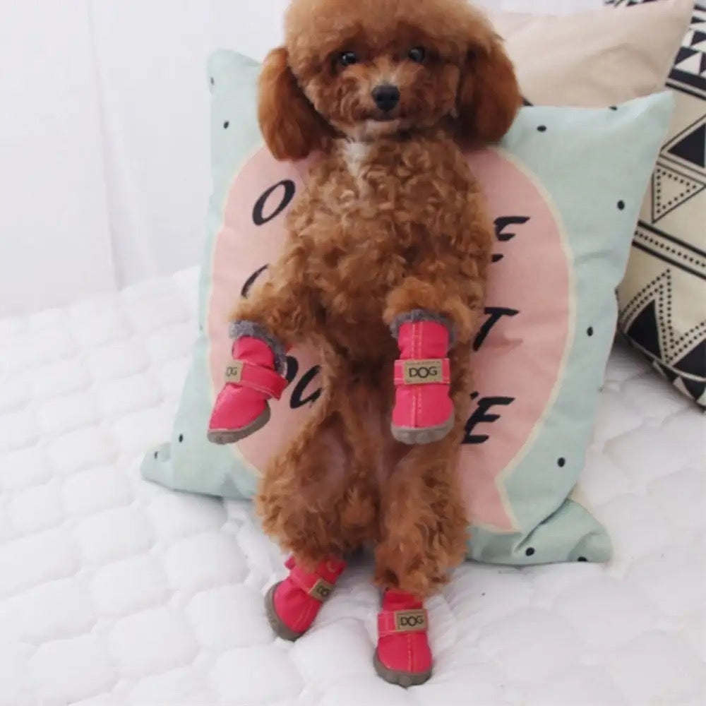 Dog boots - black