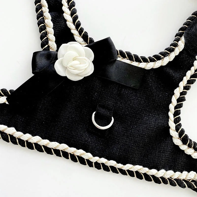 Coco Chewnel Harness Set