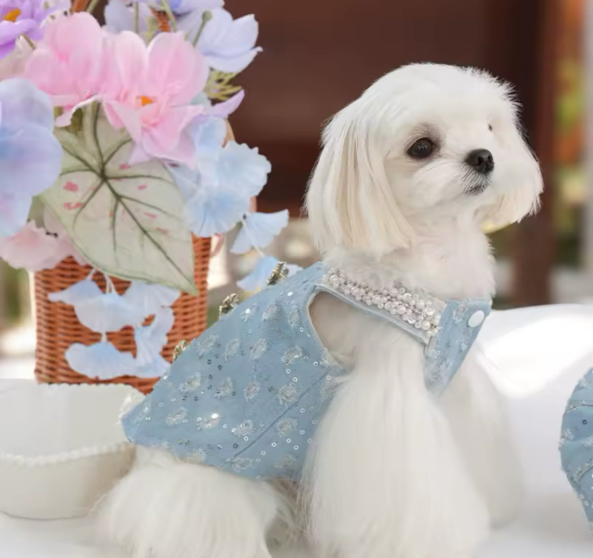 Cindirella Dress