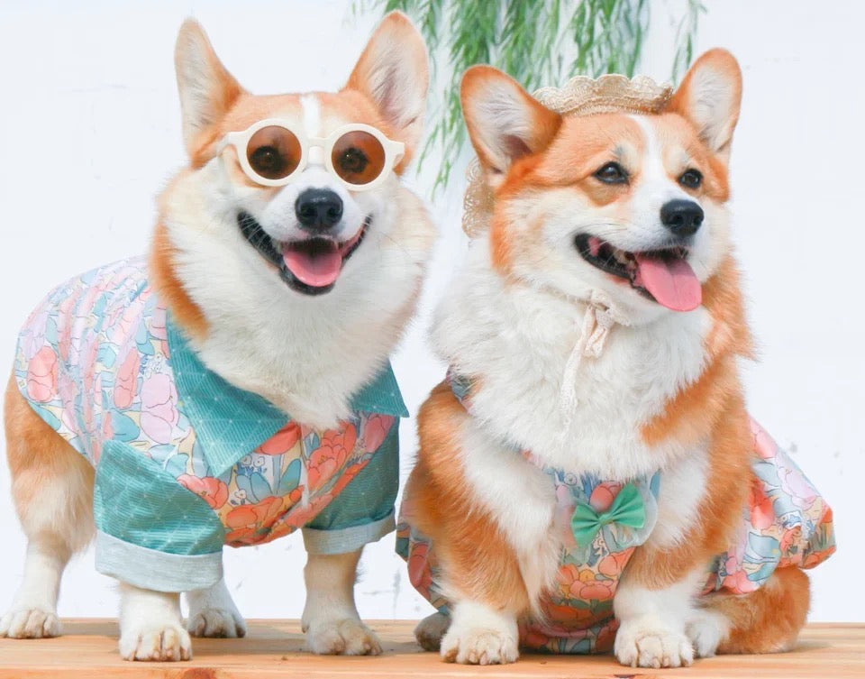 Petunia Dress/Shirt