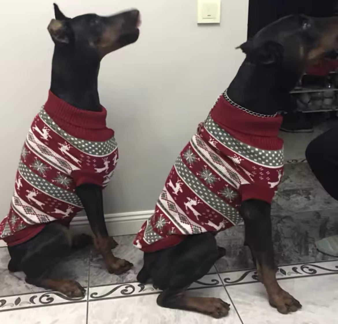 Holiday Christmas Sweater