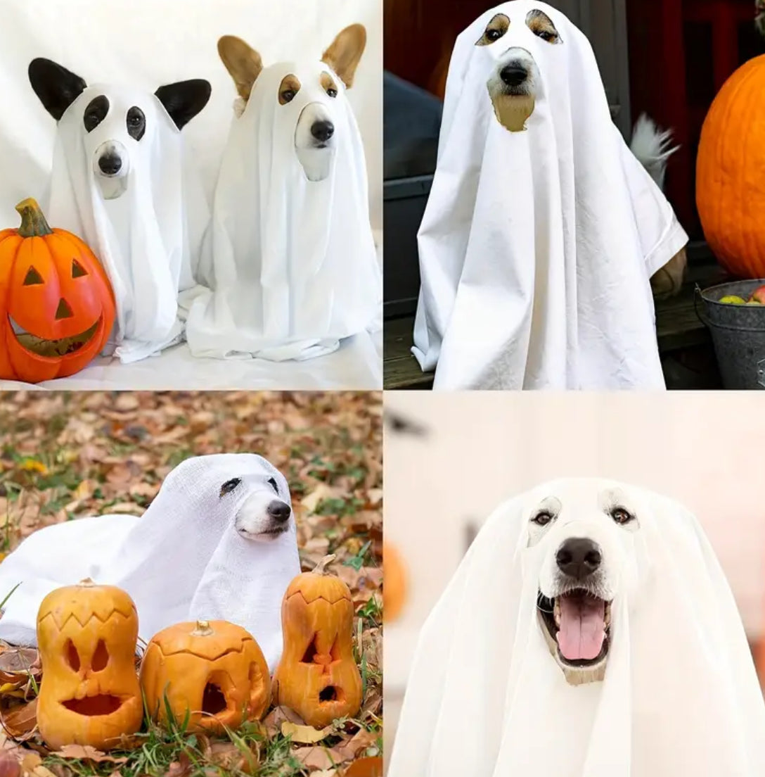 Ghost Halloween Costume