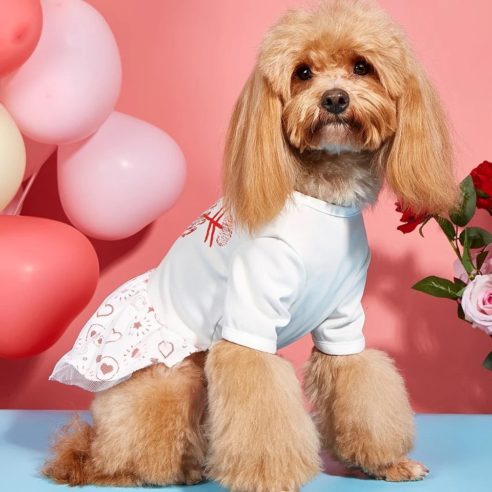 Cupid Dress