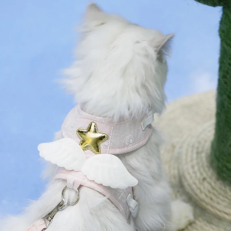 Starshine Set