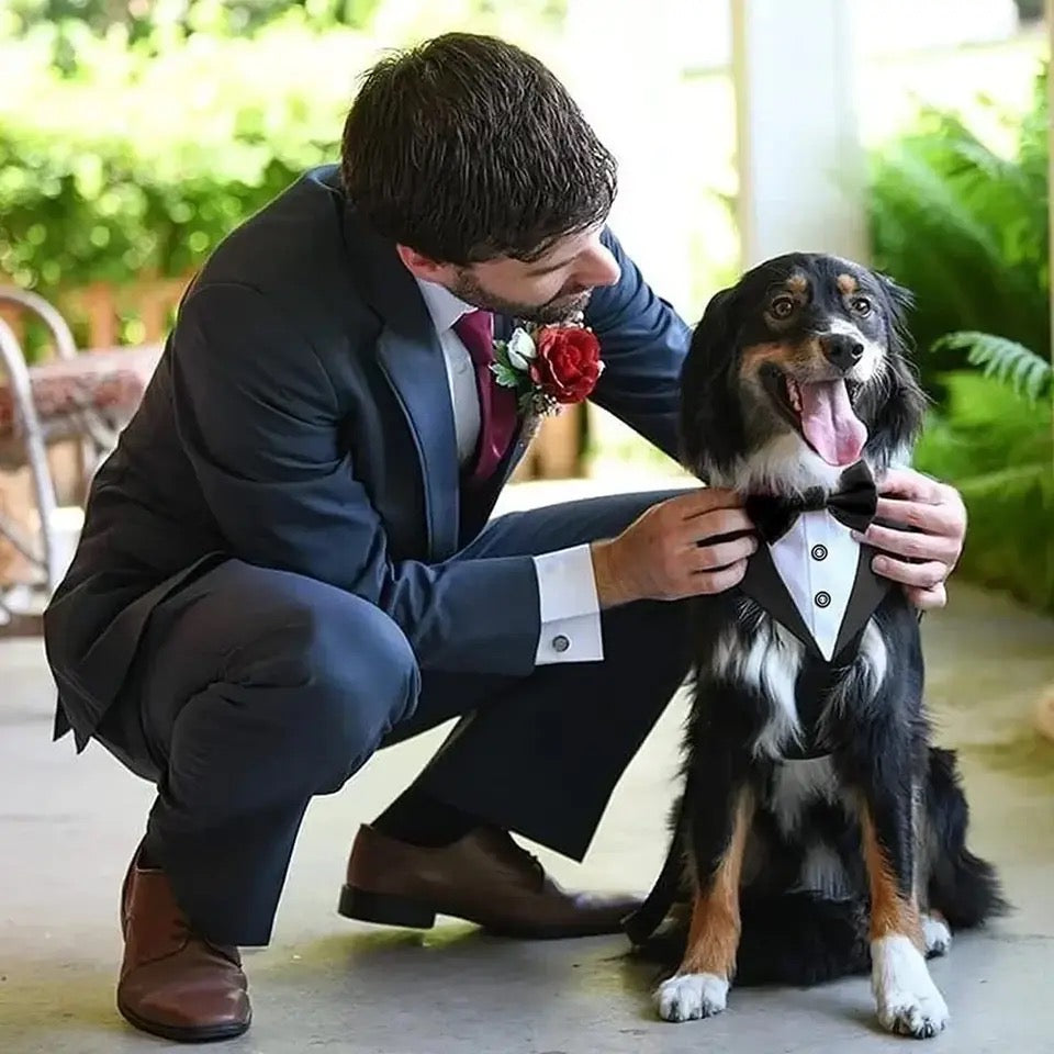Best Man Collar