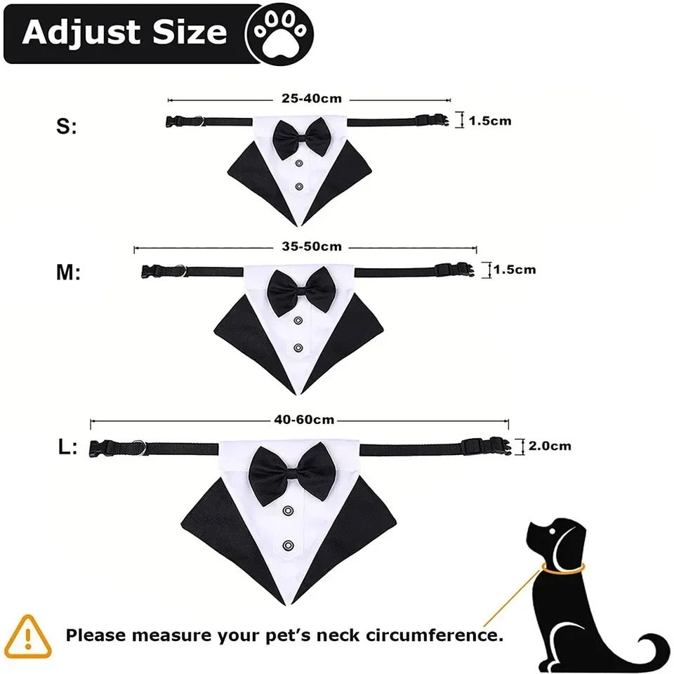 Best Man Collar