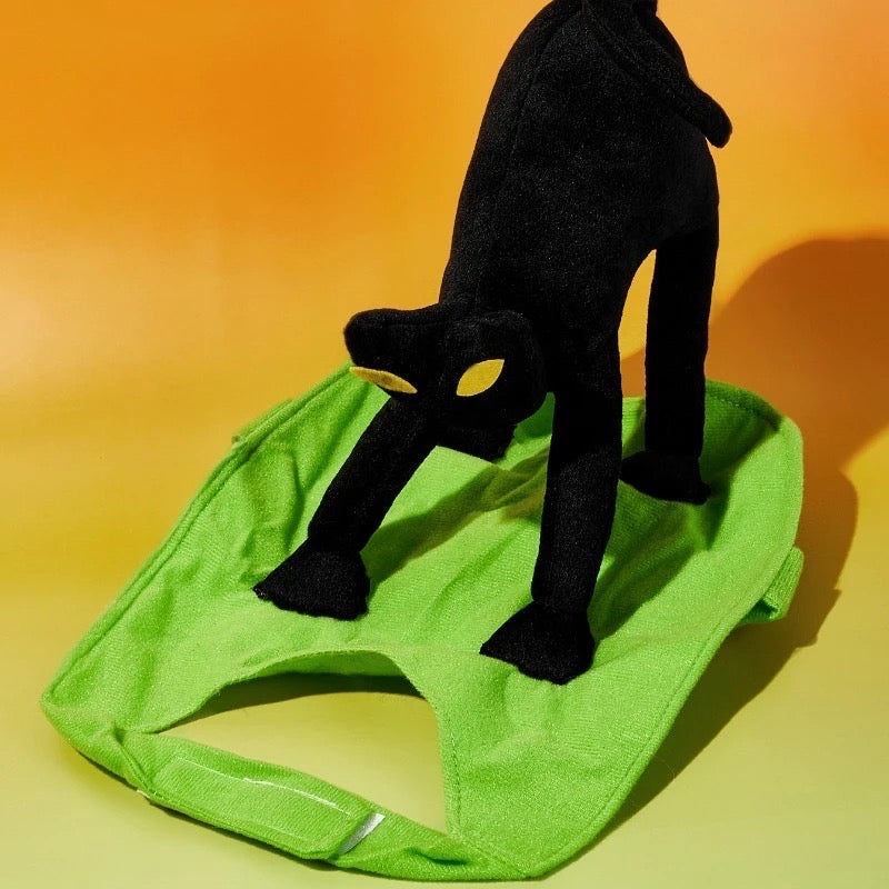 A Scaredy Cat Halloween Costume