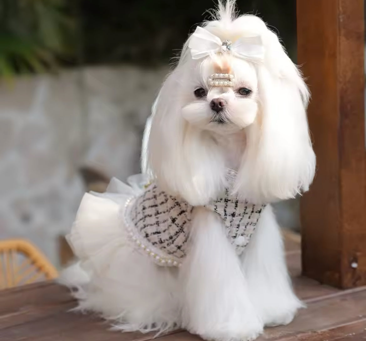 Coco Chewnel Dress