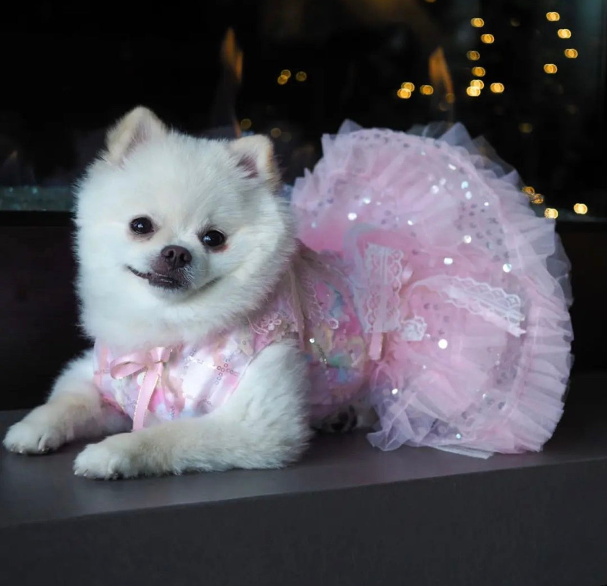 small dog party dresses Amazon.com : Anelekor White Small Dog Wedding Dress with D-Ring, Bow Knot Puppy Clothes for Small Dog Girl,Cat Birthday Outfit, Pet Party Dress for Kitten Chihuahua Yorkie Pomeranian (White, Medium) : Pet