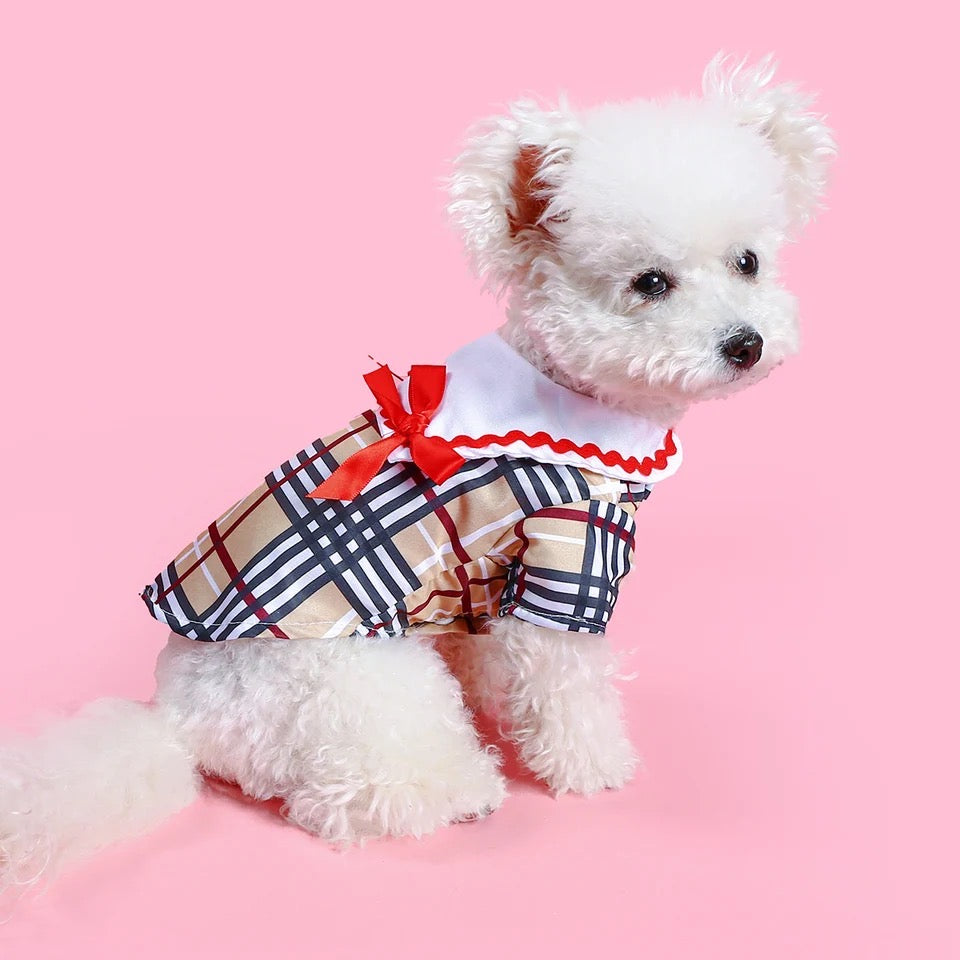 Burberry dog outlet dress