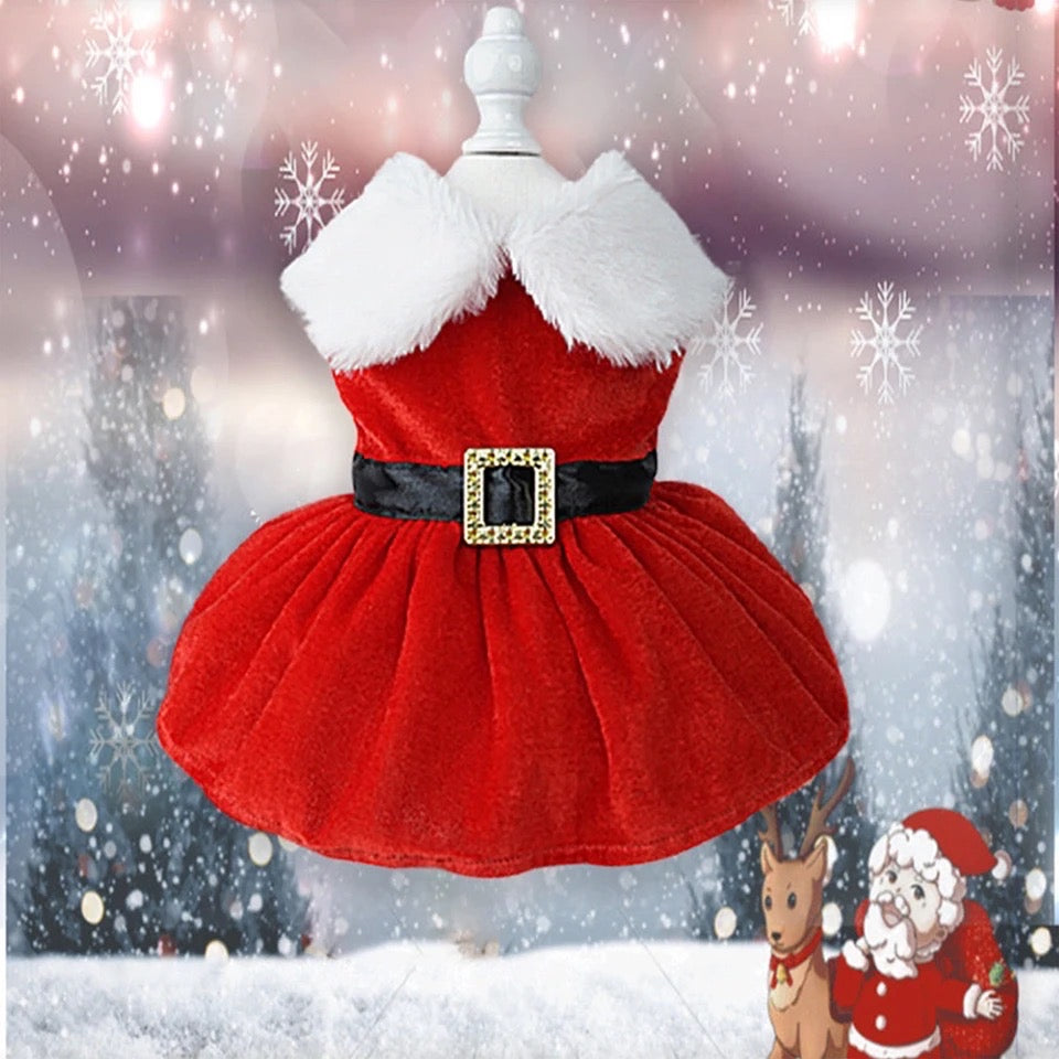 Mrs Claus Dog Christmas Dress