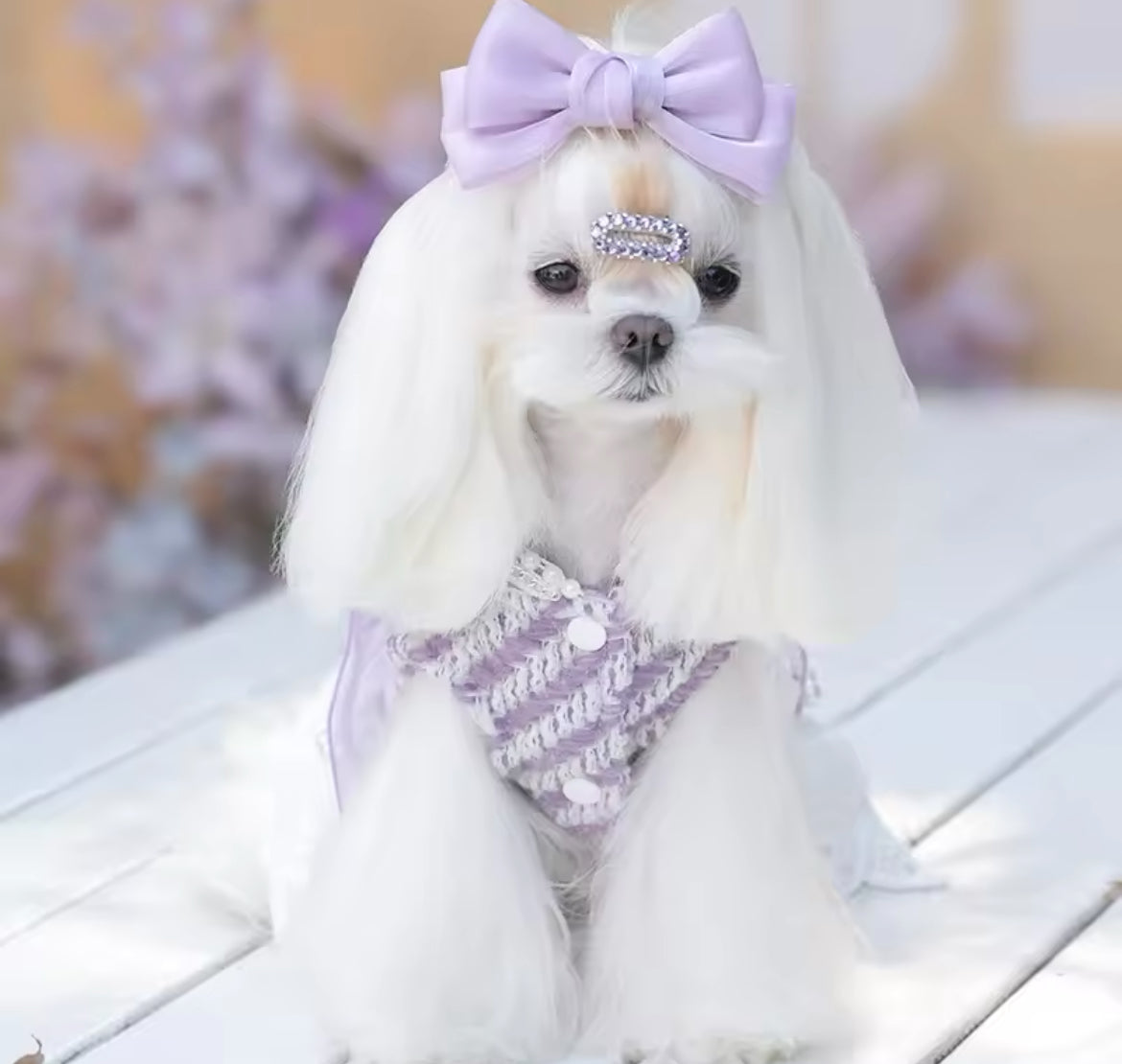 Lavender Dream Dress